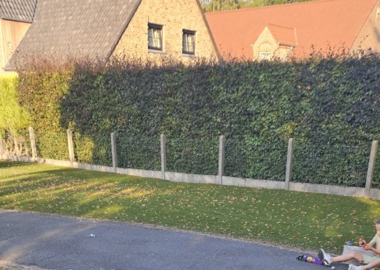  (vergroot foto)