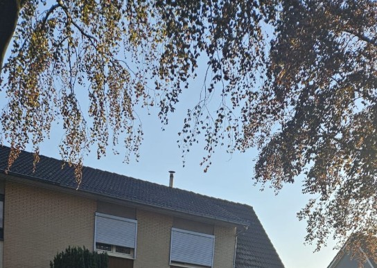  (vergroot foto)